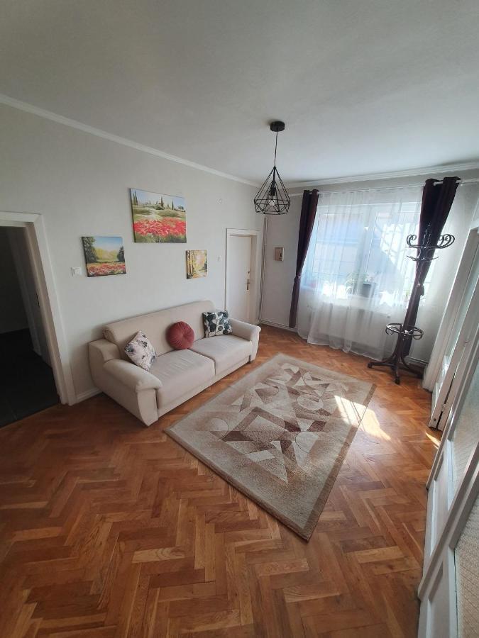 Andrea Apartman Apartment Sfantu Gheorghe  Exterior photo